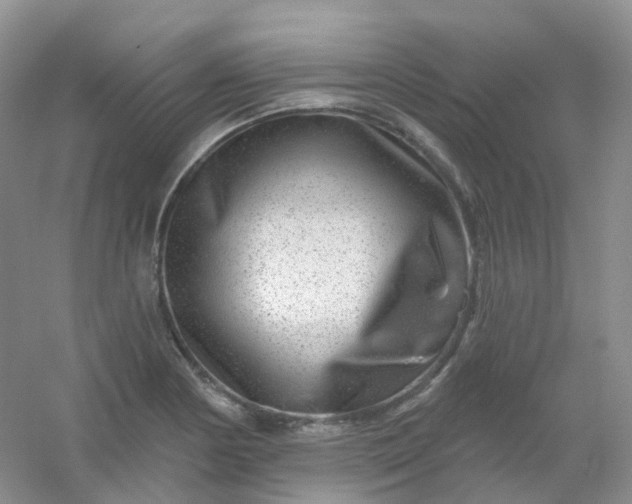 X0000054461178200508121929