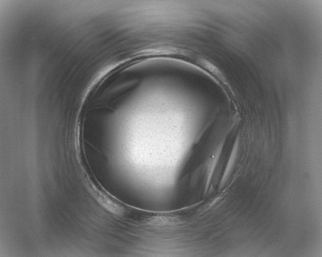 X0000054461179200508121929