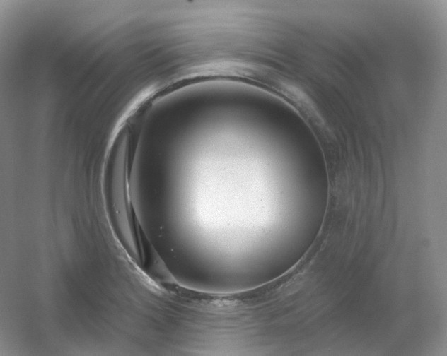 X0000054461180200508121929