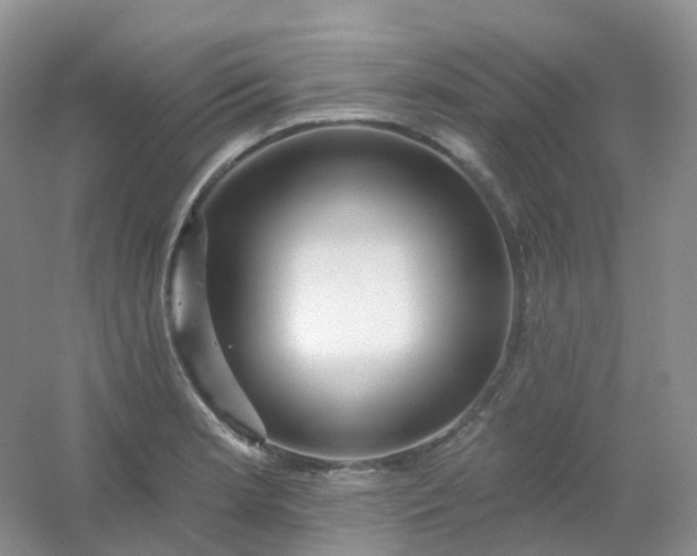 X0000054461181200508121929