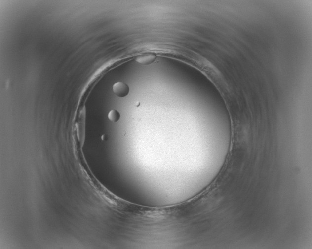 X0000054461182200508121929