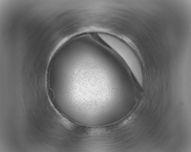 X0000054461183200508121929