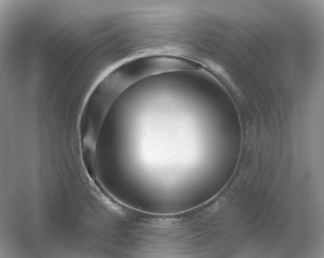 X0000054461184200508121929