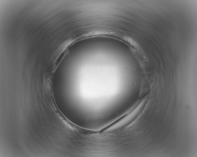 X0000054461185200508121929