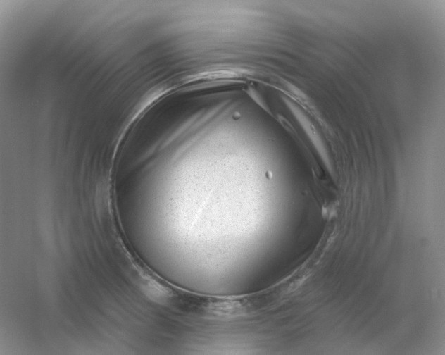 X0000054461186200508121929