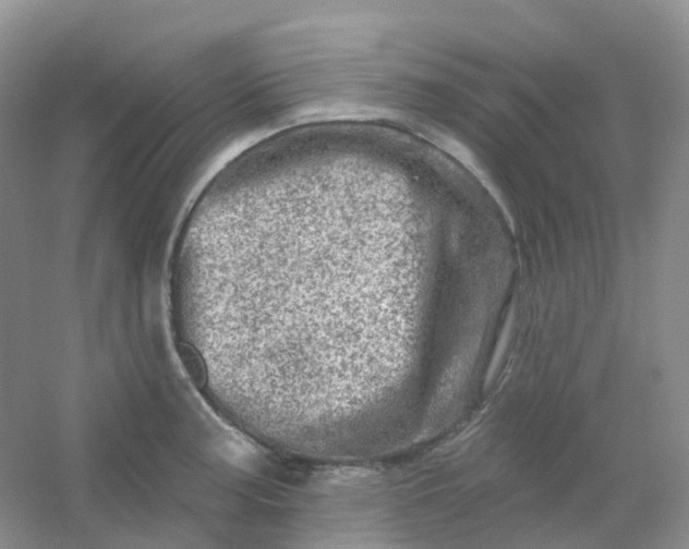 X0000054461187200508121929