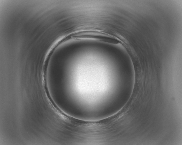 X0000054461188200508121929