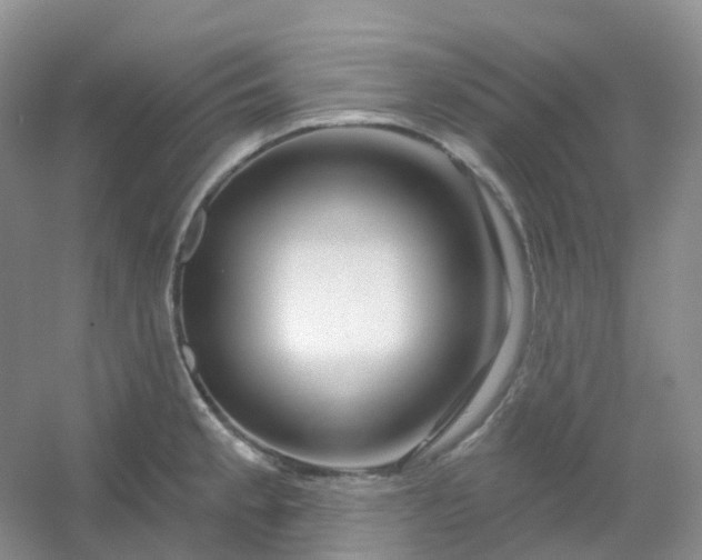 X0000054461189200508121929