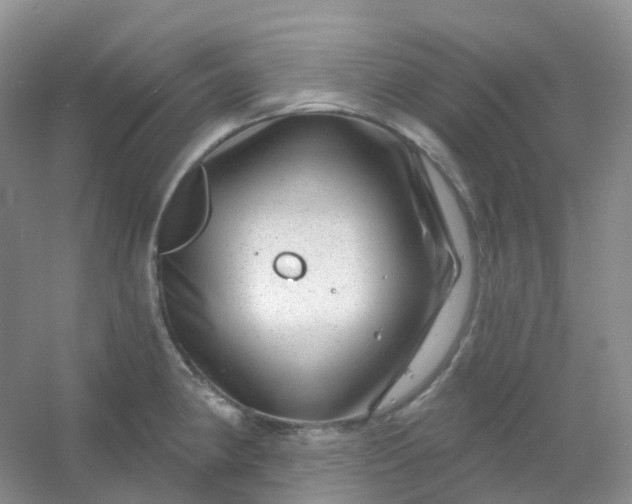 X0000054461190200508121929