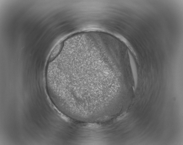 X0000054461191200508121929