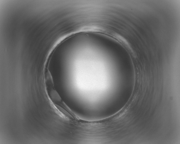 X0000054461192200508121929