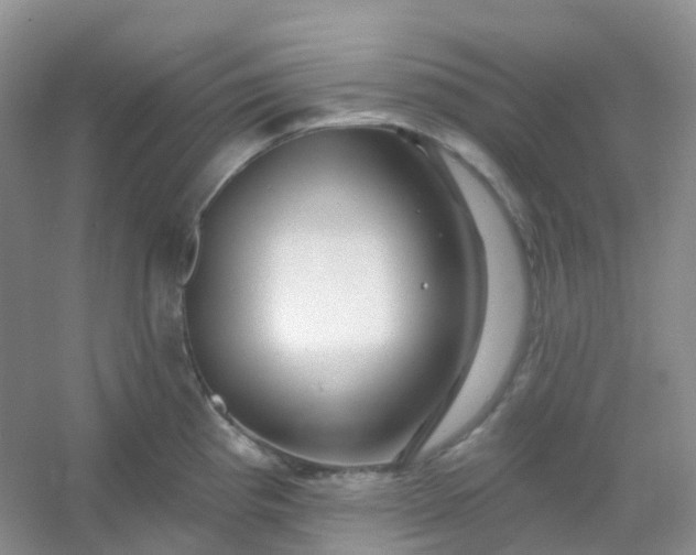 X0000054461193200508121929