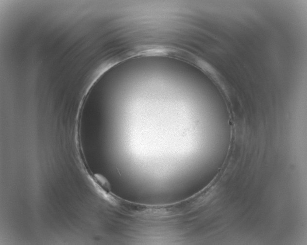 X0000054461194200508121929