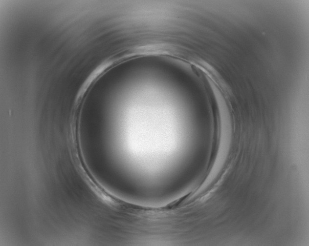 X0000054461196200508121929