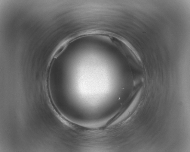 X0000054461197200508121929