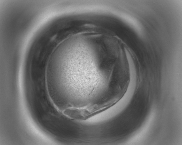 X0000054461199200508121929