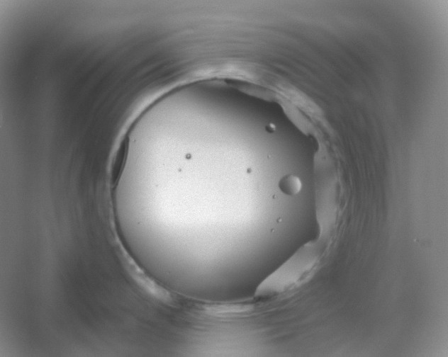 X0000054461200200508121929