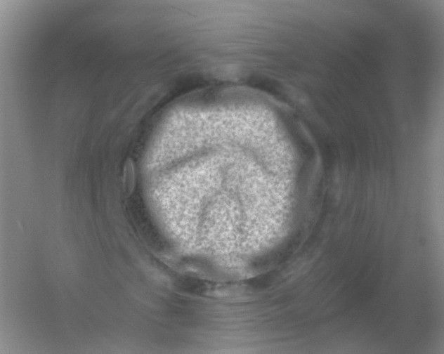 X0000054461201200508121928