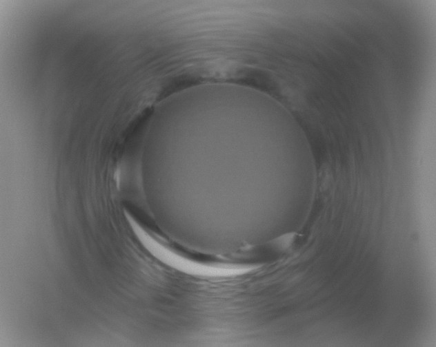 X0000054461202200508121928