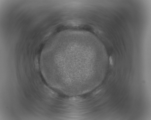 X0000054461203200508121928