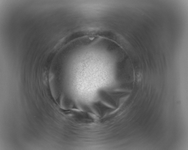 X0000054461204200508121928