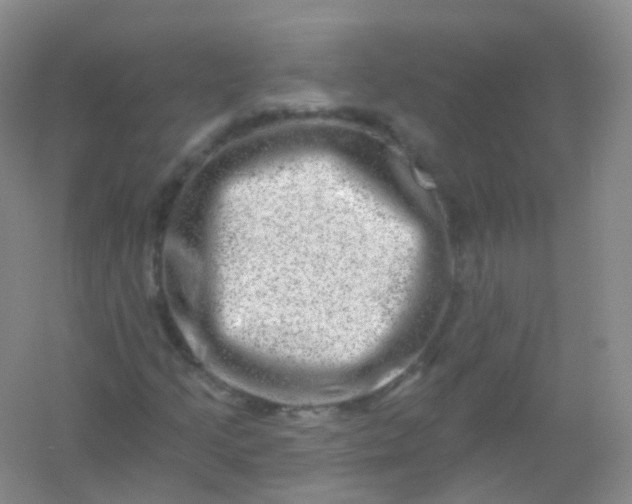 X0000054461205200508121928