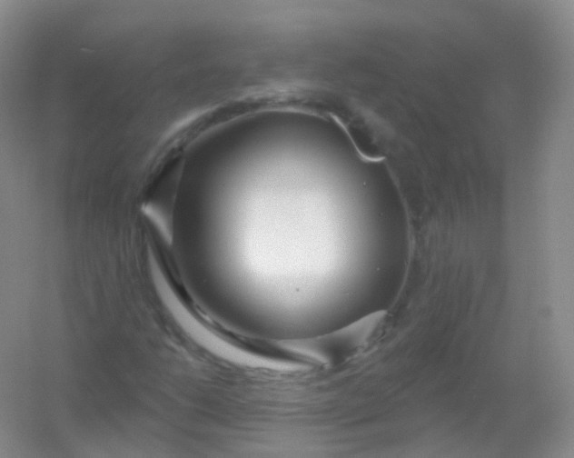 X0000054461206200508121928