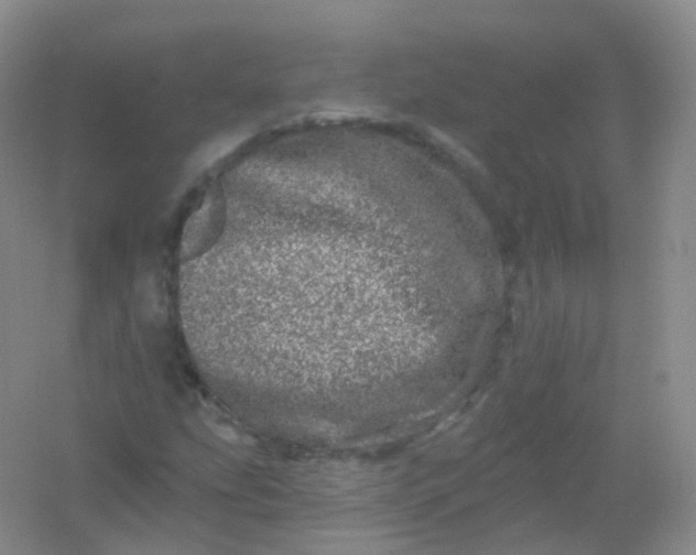 X0000054461207200508121928