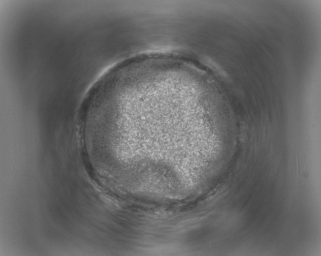 X0000054461208200508121928