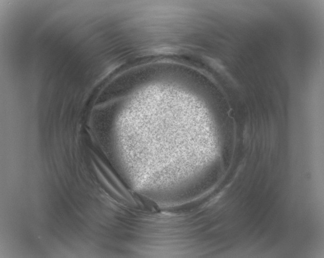 X0000054461209200508121928