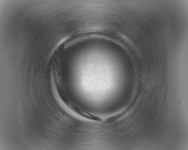 X0000054461210200508121928