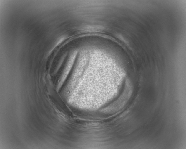 X0000054461211200508121928