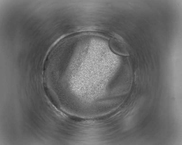 X0000054461212200508121928