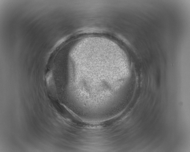 X0000054461213200508121928