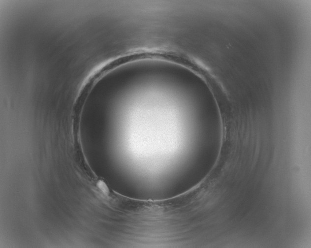 X0000054461214200508121928