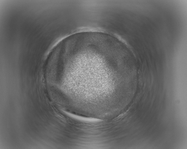 X0000054461215200508121928