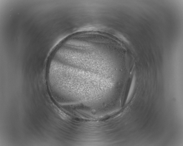 X0000054461216200508121928