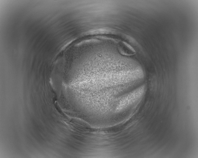 X0000054461217200508121928