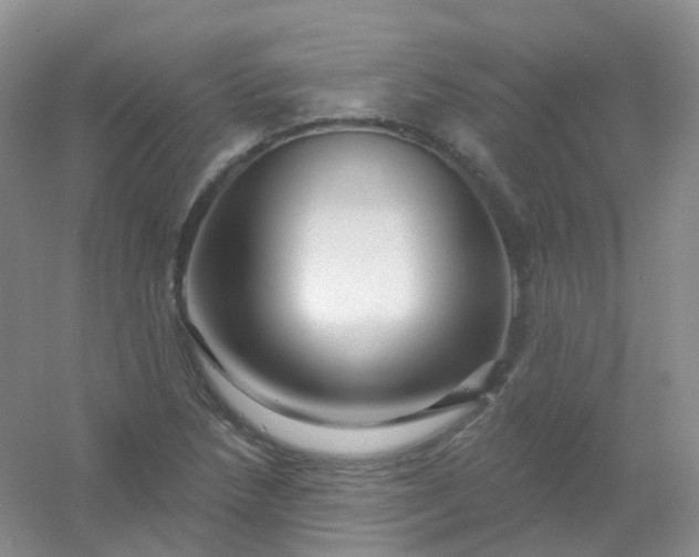 X0000054461218200508121928