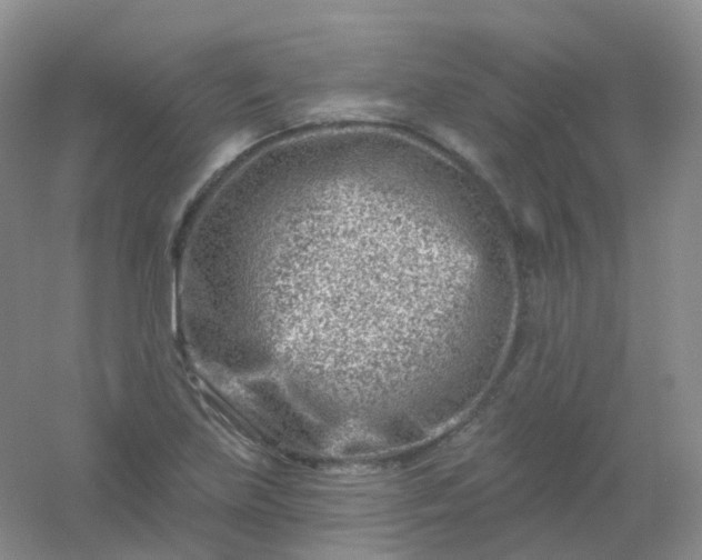 X0000054461219200508121928