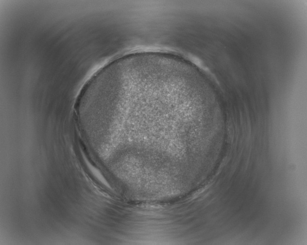 X0000054461221200508121928