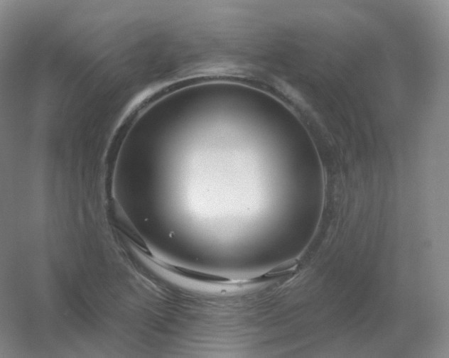 X0000054461222200508121928