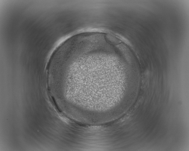 X0000054461223200508121928