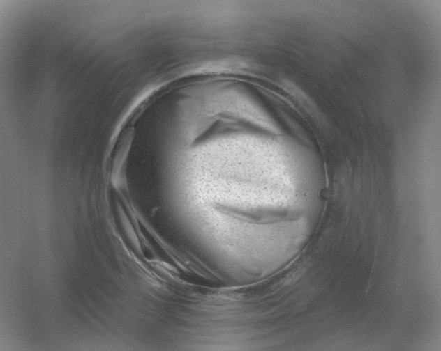 X0000054461224200508121928