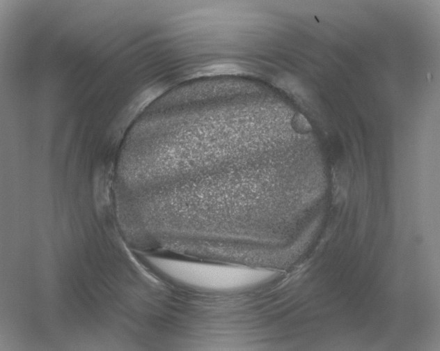 X0000054461225200508121928