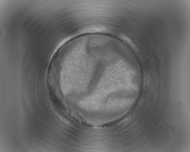 X0000054461226200508121928