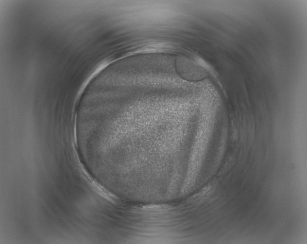 X0000054461227200508121928