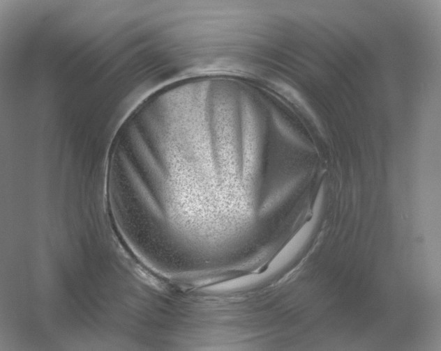 X0000054461228200508121928