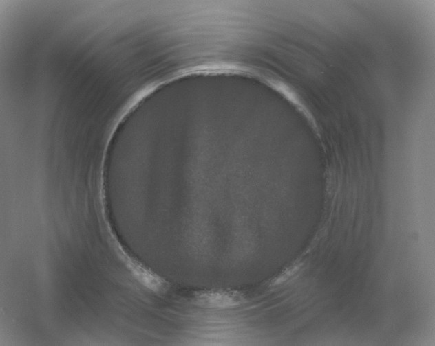 X0000054461229200508121928