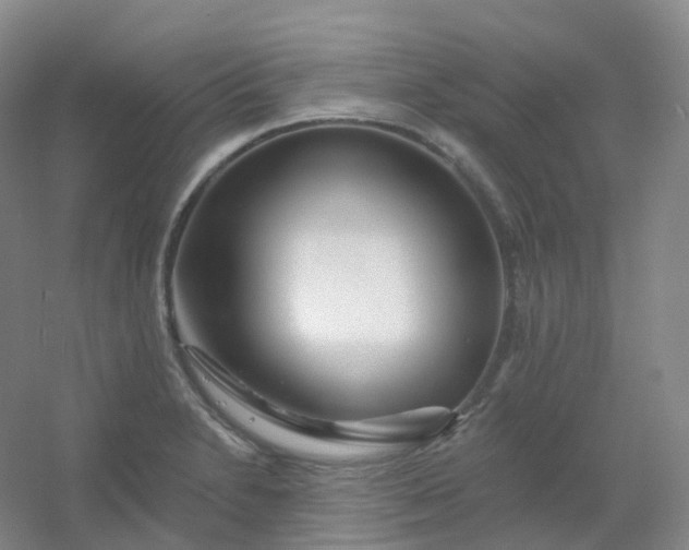 X0000054461230200508121929